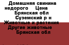 Домашняя свинина, недорого. › Цена ­ 250 - Брянская обл., Суземский р-н Животные и растения » Другие животные   . Брянская обл.